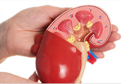 article image - 